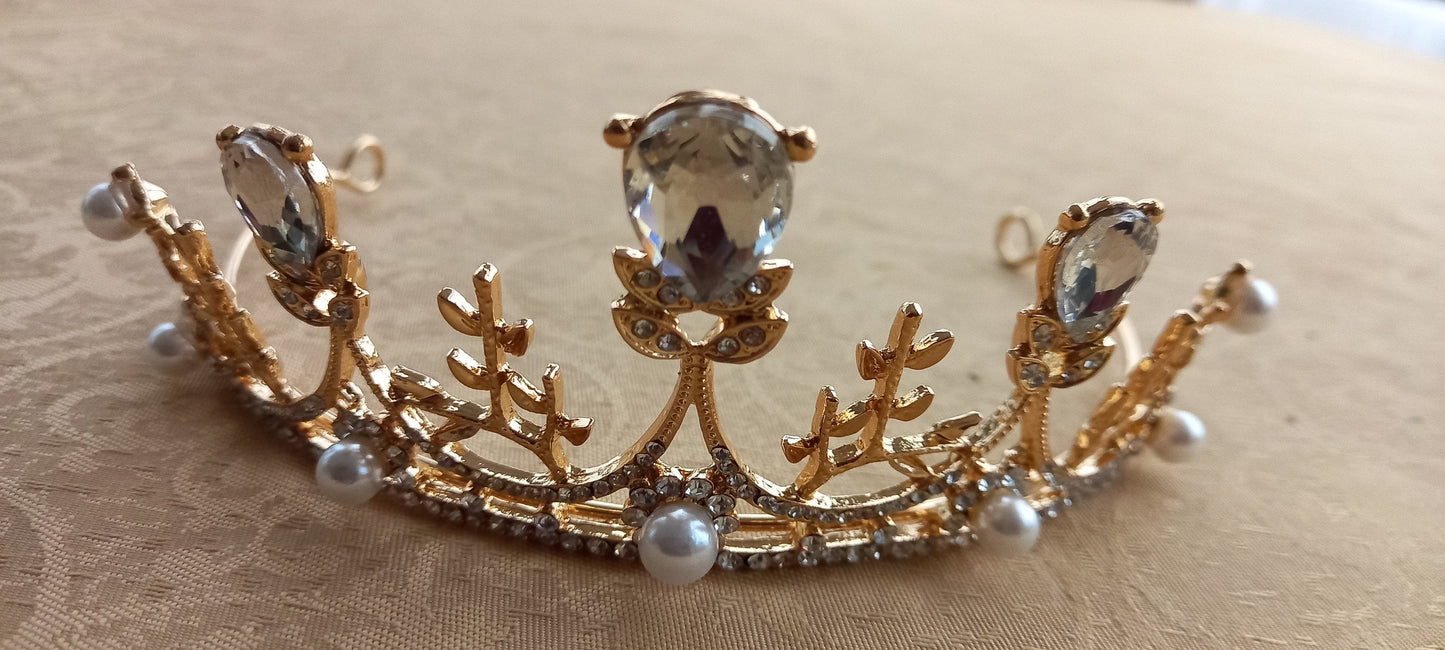 The Little Girl's Princess Crown Tiara