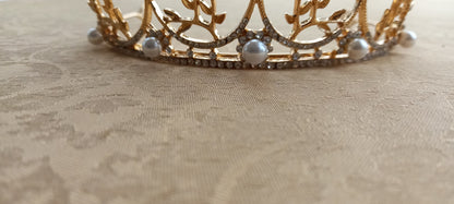 The Little Girl's Princess Crown Tiara