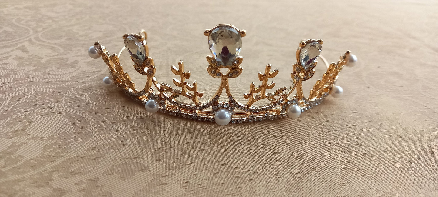 The Little Girl's Princess Crown Tiara