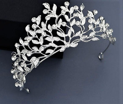 The Ice Tiara