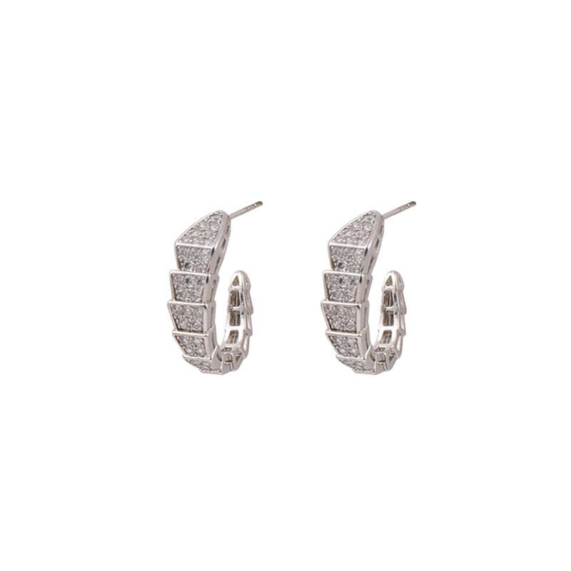 The Hook-Style Rhinestone Earring